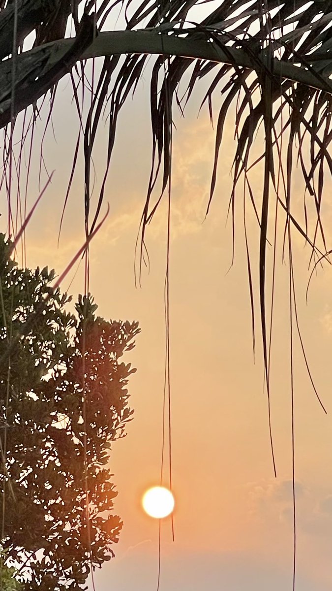 Morning friends have a great day😎