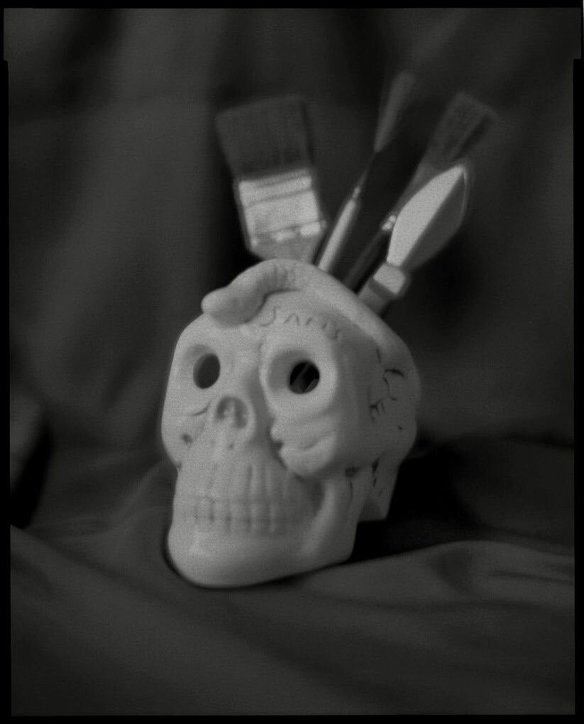 satotheshooter's tweet image. Hasemi 8x10 / Rodenstock-Tiefenbildner Imagon 250mm h5.8 / Kodak Portra Endura Color Paper (Fuji SPD)

#papernegative
#largeformat
#8x10