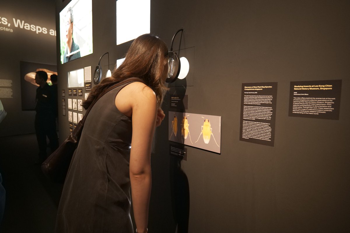 Lee Kong Chian Natural History Museum tweet media