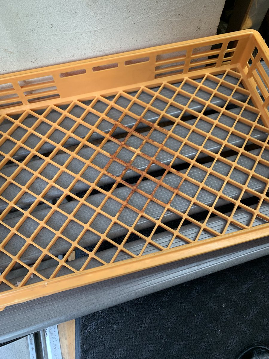 あっ！完売
ありがとうございました〜