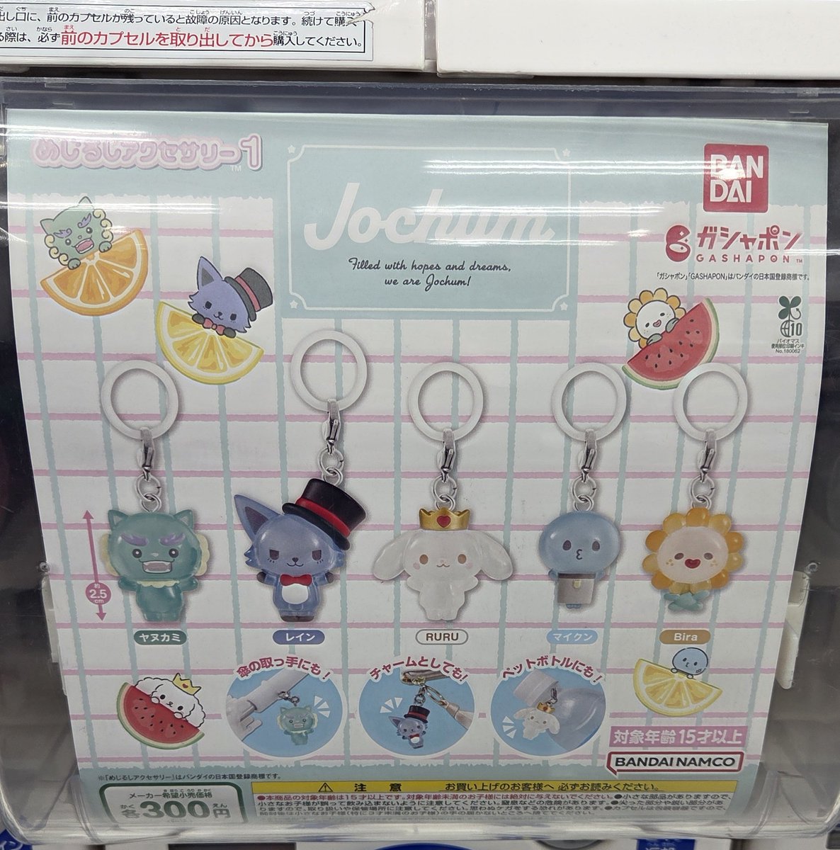 JOCHUM めじるしアクセサリー #めじるしアクセサリー #JOCHUM やった