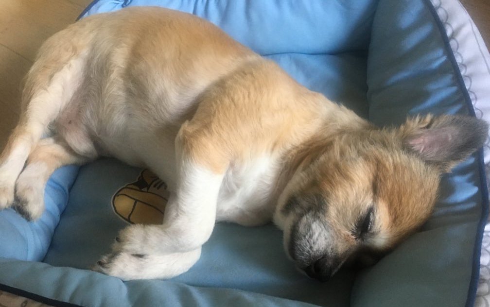 10年ニート tweet media