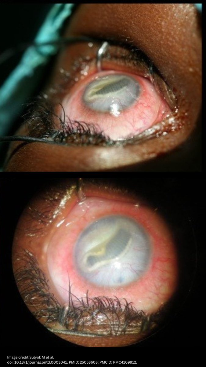 Dr. AK 🇮🇳 tweet media