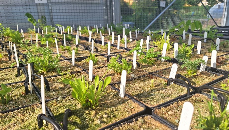 Go Belowground! tweet media