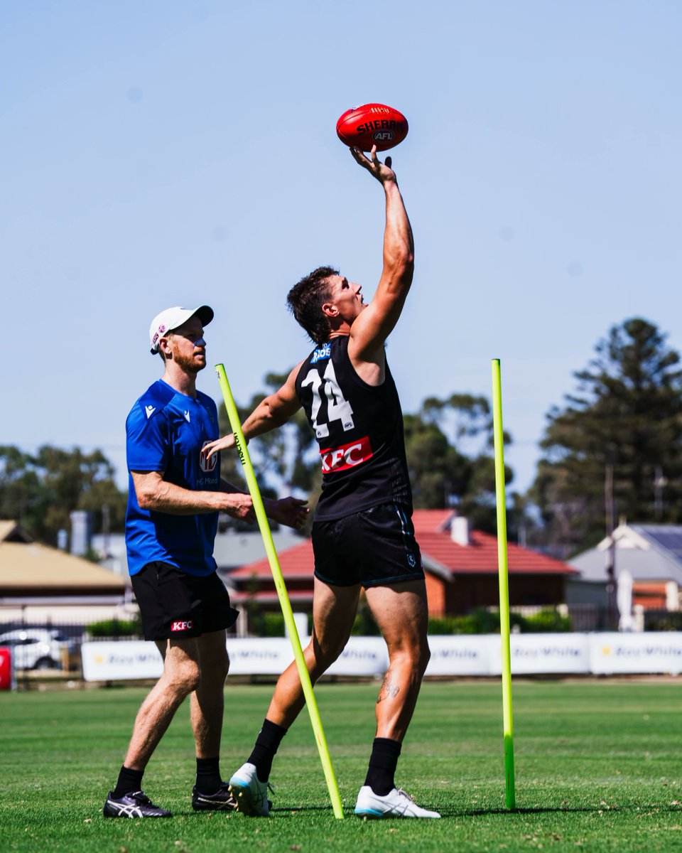 PAFC_CS's tweet photo. Jordon Sweet PACS sponsored player practising his ruck work to tap down to Zac, JHF, Bergs, Connor - where do we stop...
Welcome to Port Adelaide Ted you will be all good as you have Alby checkin in for pats n cuddles 
#pafc  #AlbyRules #2026HereWeCome 
#35Days https://t.co/b51nXf8NGJ