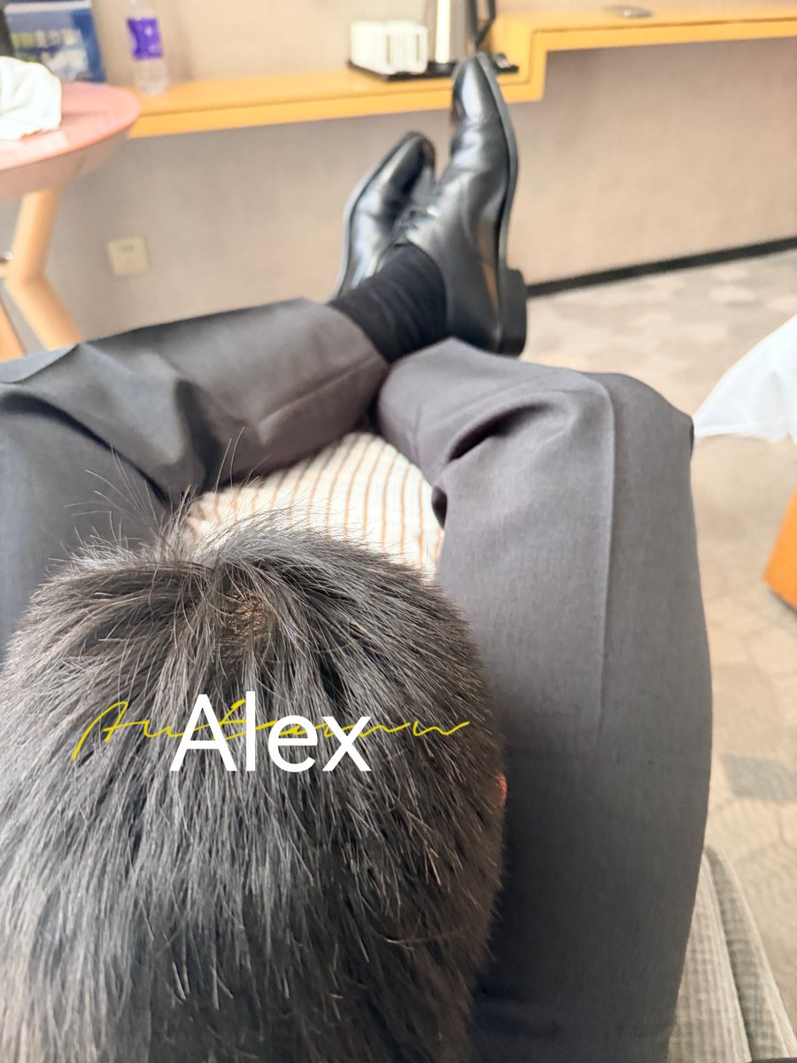 GzAlexFan tweet media