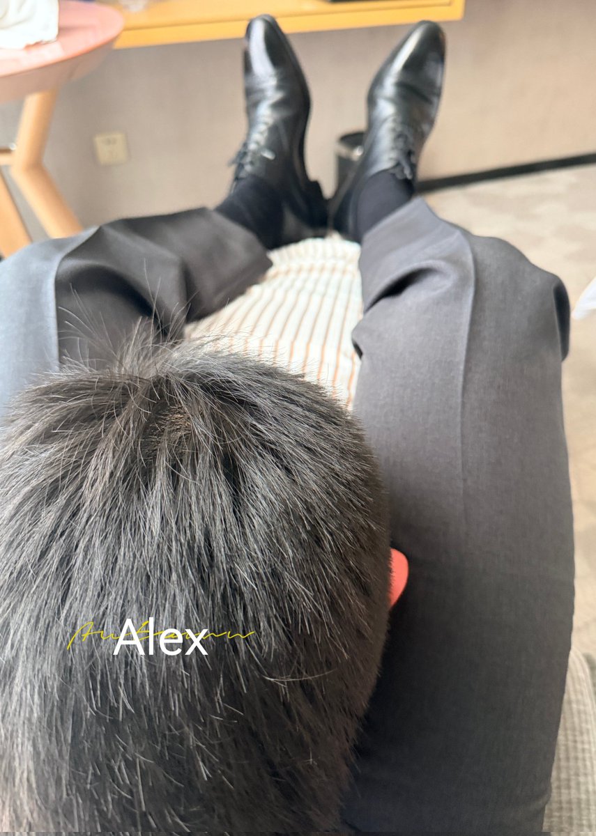 GzAlexFan tweet media