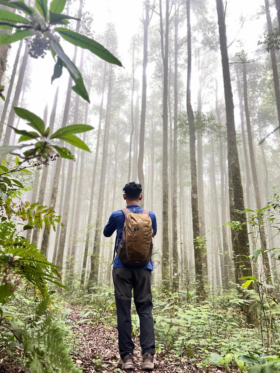 Miftahul Hamdie tweet media