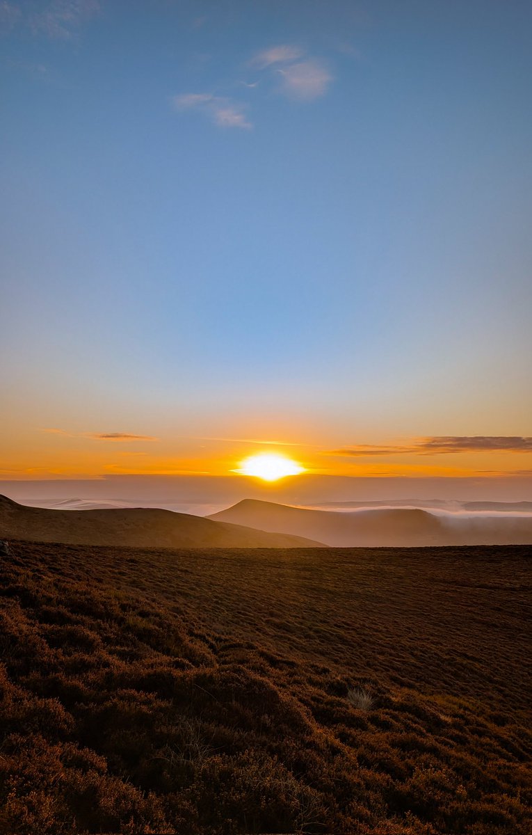 Sarah Lister tweet media