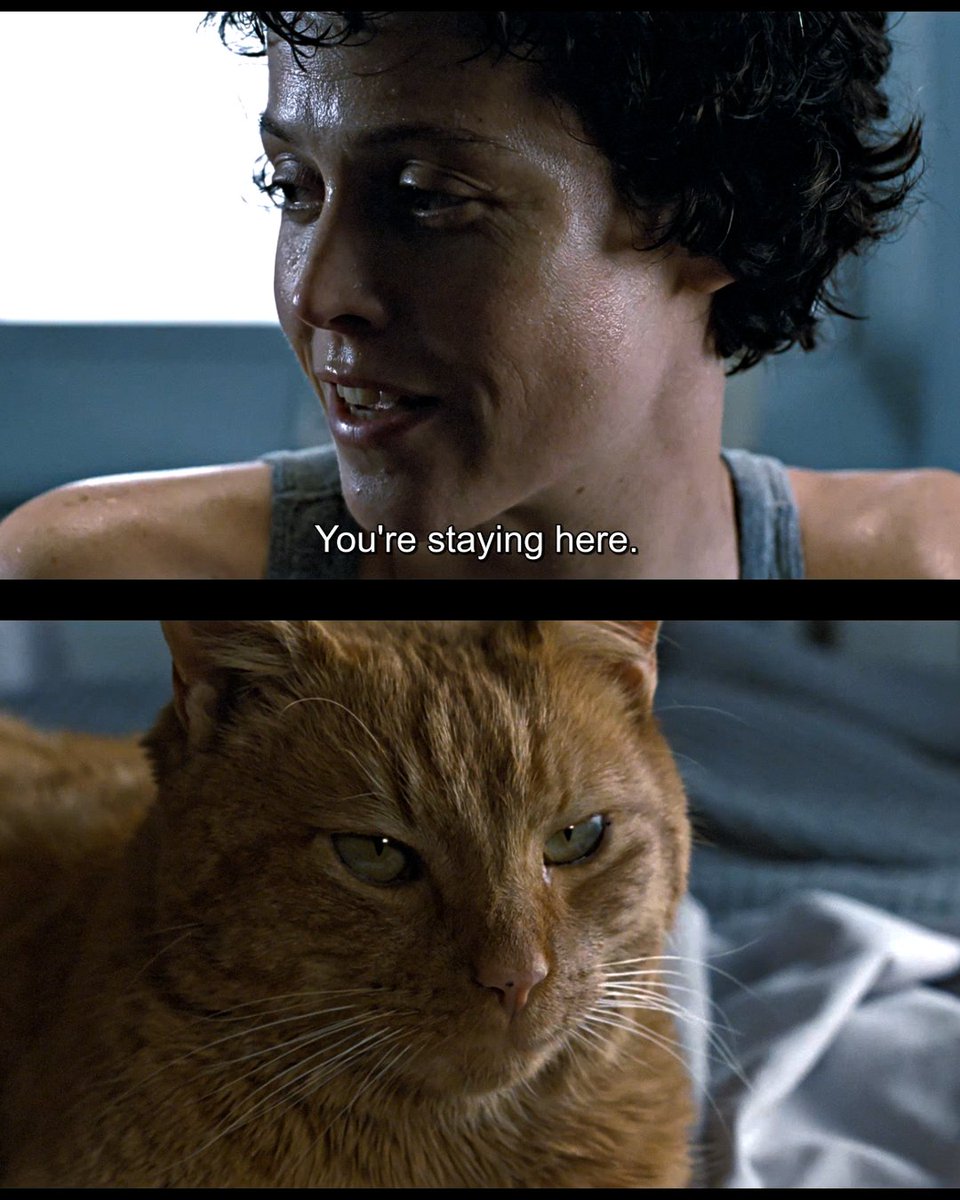 We can all agree that leaving Jonesy behind was the biggest mistake, the little guy is clearly a Xenomorph expert!