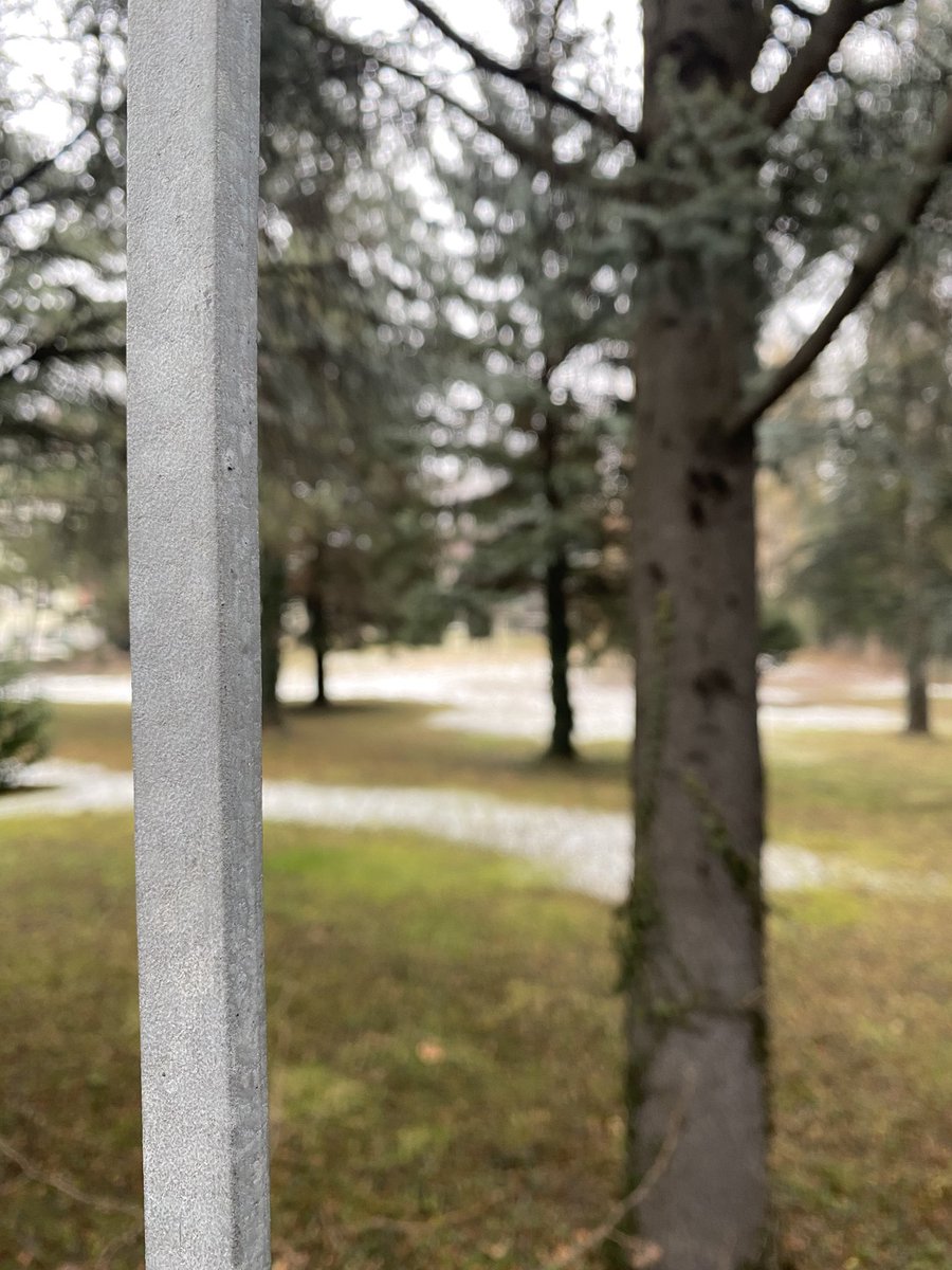 Sonia Zuccaro tweet media