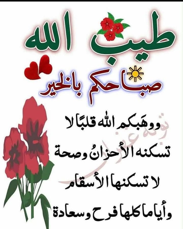 لطف محمد tweet media