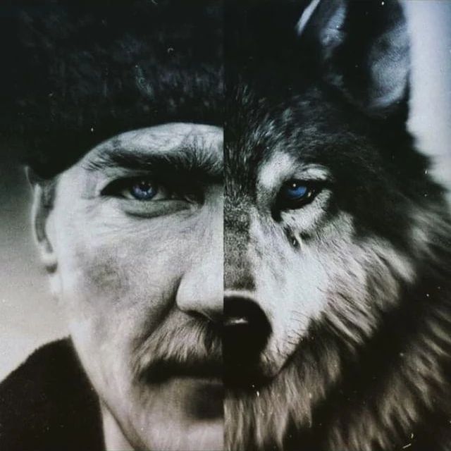 Venomless tweet media