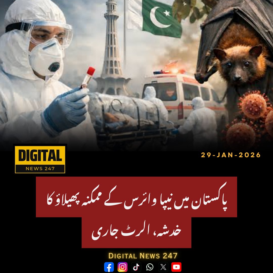 DigitalNews247's tweet image. پاکستان میں نیپا وائرس کا خدشہ، حکومت نے ہائی الرٹ جاری کردیا 
بھارت میں وائرس کے پھیلاؤ کے پیش نظر تمام سرحدی راستوں، ائیرپورٹس اور بندرگاہوں پر 100٪ سکریننگ لازمی قرار، مشتبہ افراد کو فوری آئسولیٹ کیا جائے گا۔

#NipahVirus #PakistanAlert #HealthSafety #DigitalNews247