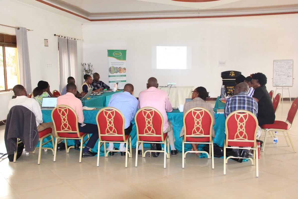 NTOROKO DLG tweet media