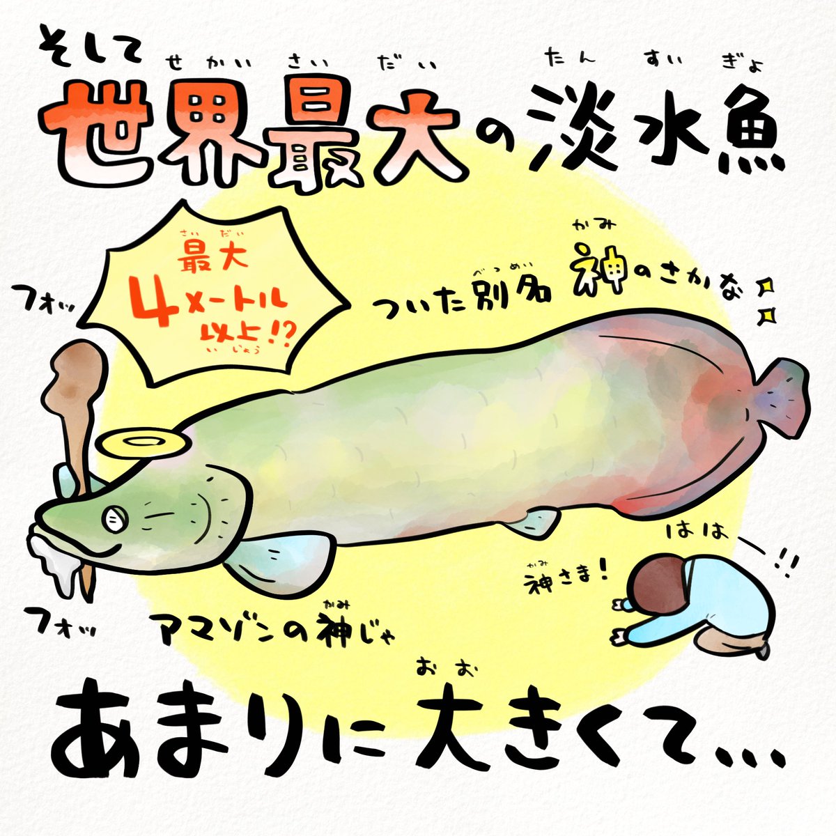 さかなのおにいさん かわちゃん (@sakana_bro) / Posts / X