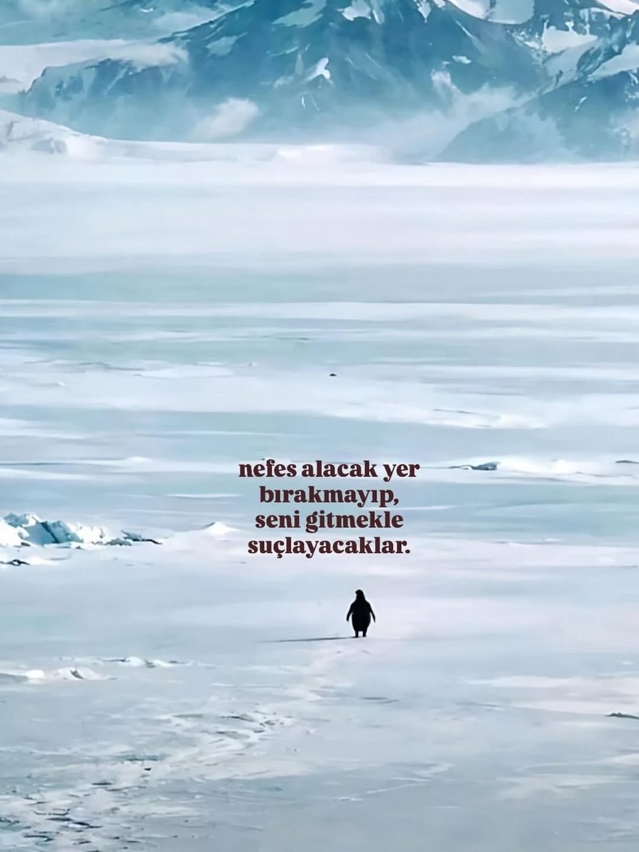 ill Sont Eux (@illsonteuxsair) on Twitter photo 