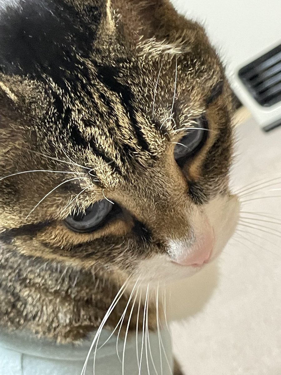 皆さんお疲れ様〜^_^