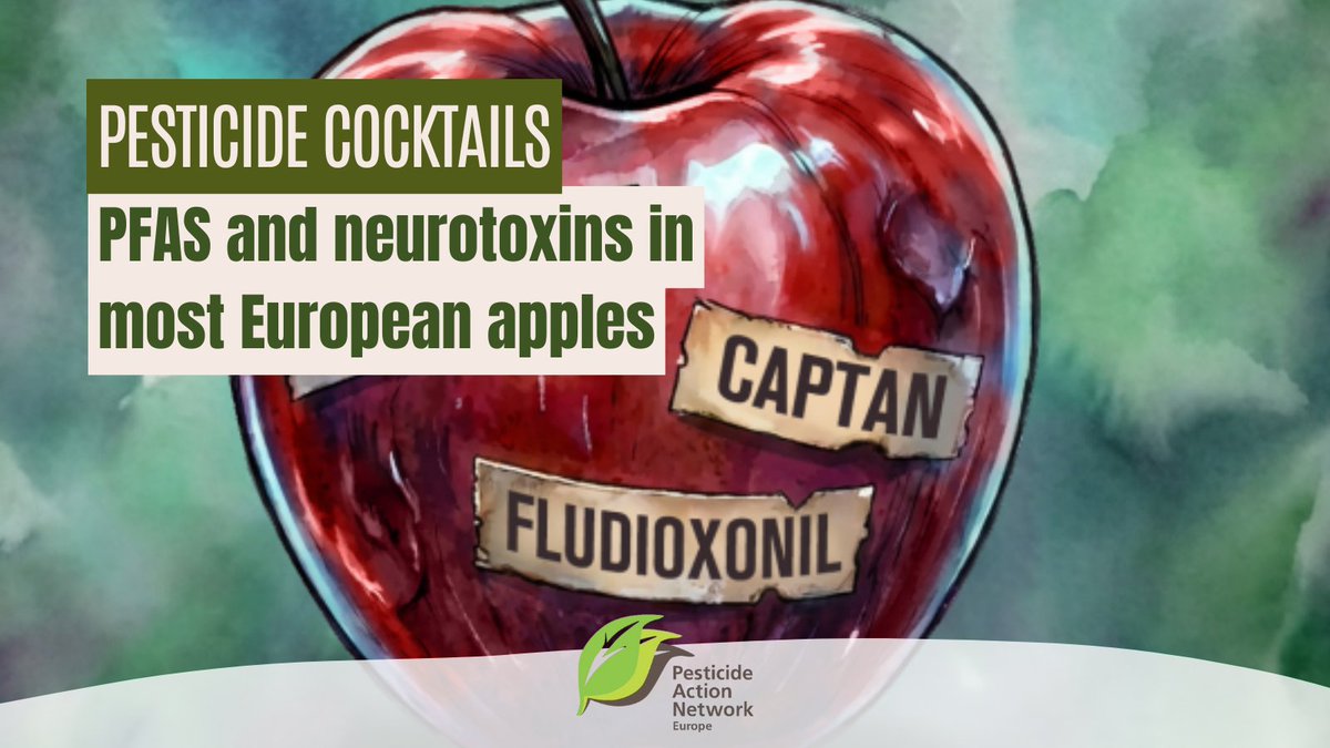 PAN Europe tweet media