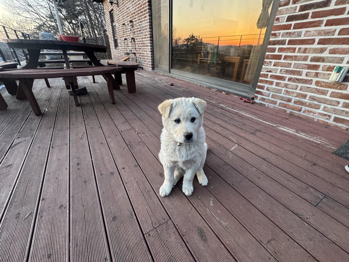 juju(박사님) tweet media