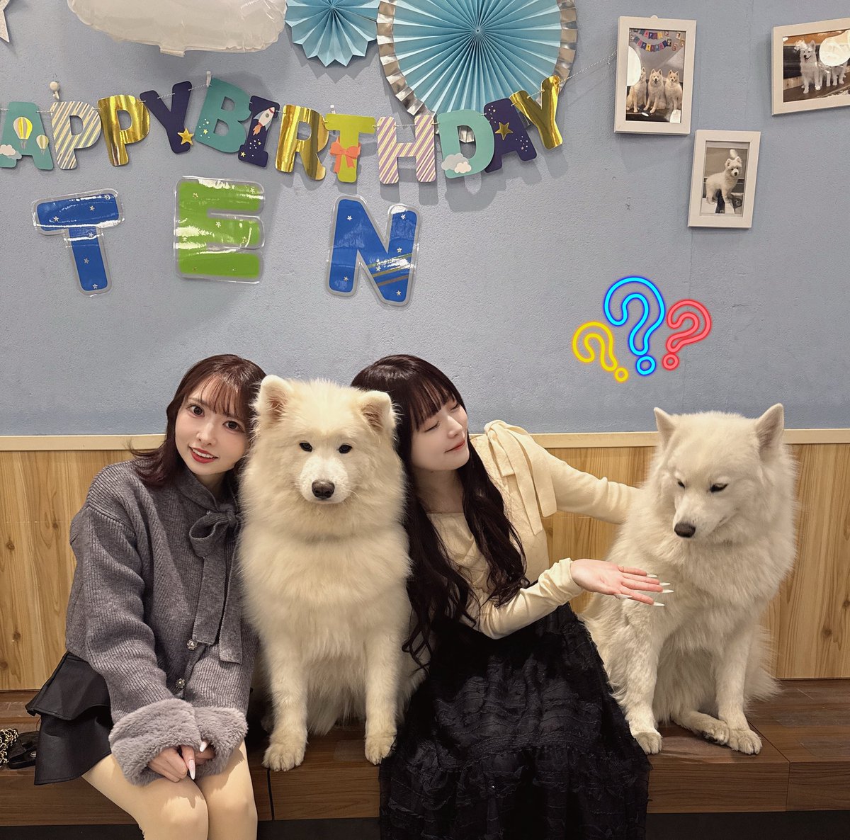 もふもふ mofusand もふもふジャーニー デスクトップぬいぐるみ(ピザにゃん