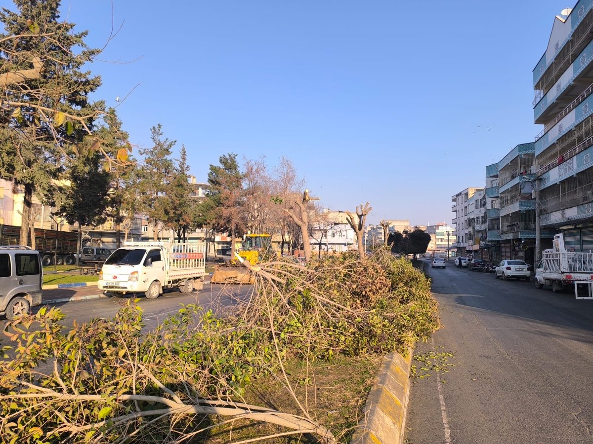 📍Eyyübiye İlçesi❤️

Park ve Bahçeler Dairesi  Başkanlığına bağlı ekiplerimiz;👷🚧👷

Yoğun kar yağışı nedeniyle zarar gören ağaçların budama çalışmaları hız kesmeden devam etmektedir .🌲

<a href="/sanliurfabld/">Şanlıurfa Büyükşehir 🇹🇷</a> 
<a href="/halilaldeniz_/">Halil Aldeniz</a> 
<a href="/Tuba_Yaygin/">Tuba Yaygın</a> 
<a href="/sukrukaracads/">şükrü karaca</a>