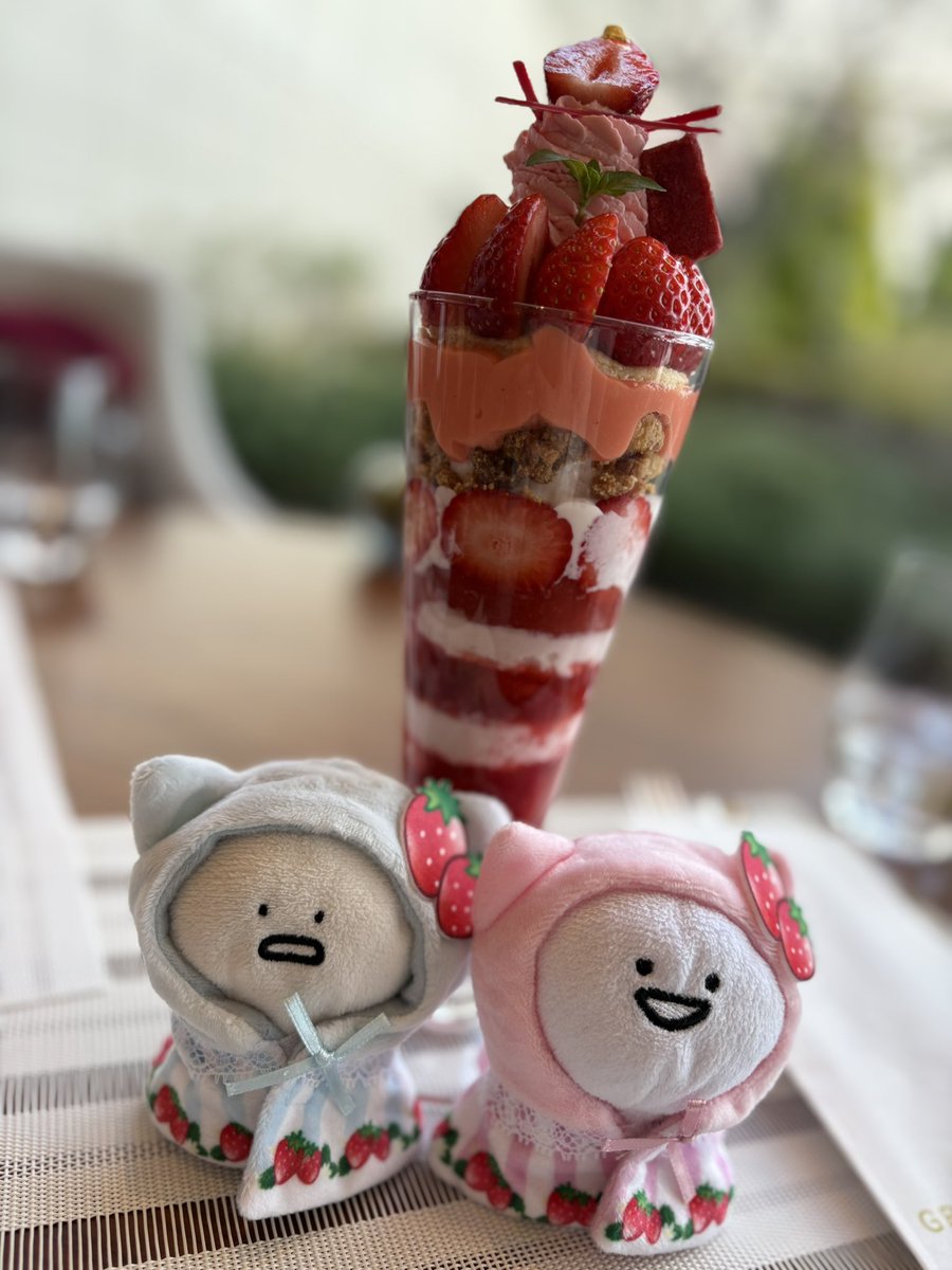 obu_pudding_'s tweet photo. おぶと苺パフェ🍓
苺のお洋服かわいい〜(̨̡ ⸝⸝.ˬ.⸝⸝ )̧̢❤️ https://t.co/iKeNnH2MBh