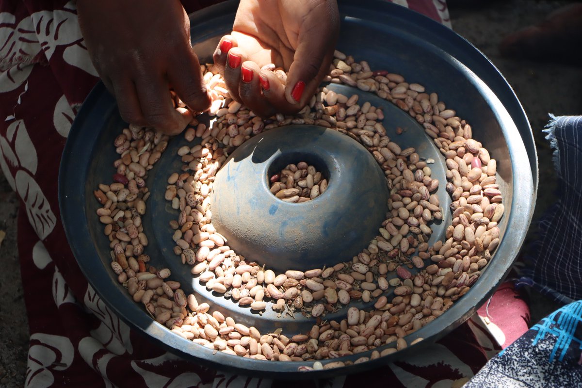 wfp_mozambique's tweet photo. 📸 Chiaquelane Accommodation Center, Chokwe
🚨 @WFP continues supporting the Government of #Mozambique🇲🇿 #INGD in Gaza province, providing food assistance to people affected by the floods.
This life-saving support is possible thanks to 🇪🇺🇩🇪🇬🇧🇺🇸 https://t.co/qVHaii2nvk