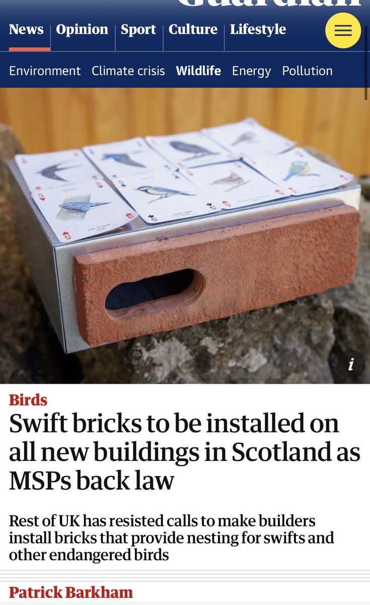 Go get The Guardian today &amp; bathe in this GOOD NEWS: theguardian.com/environment/20…