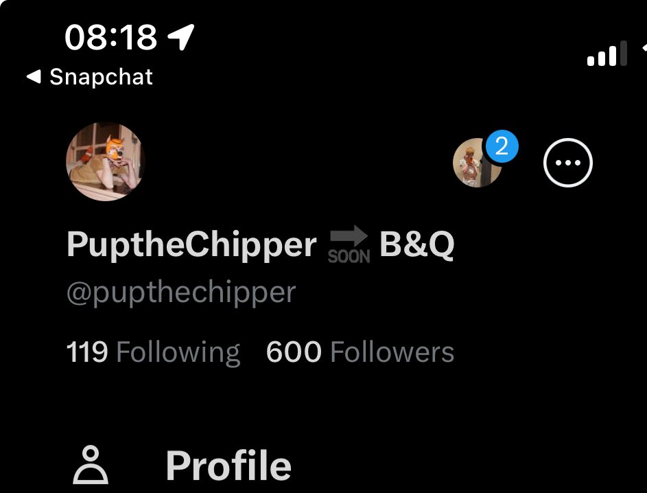 PuptheChipper 🔜 B&Q tweet media