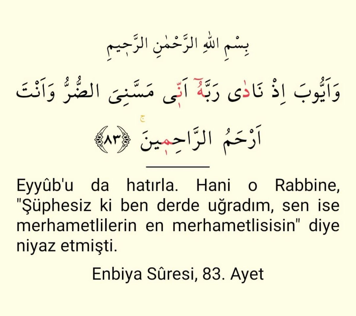 SerdarMercan54 tweet picture