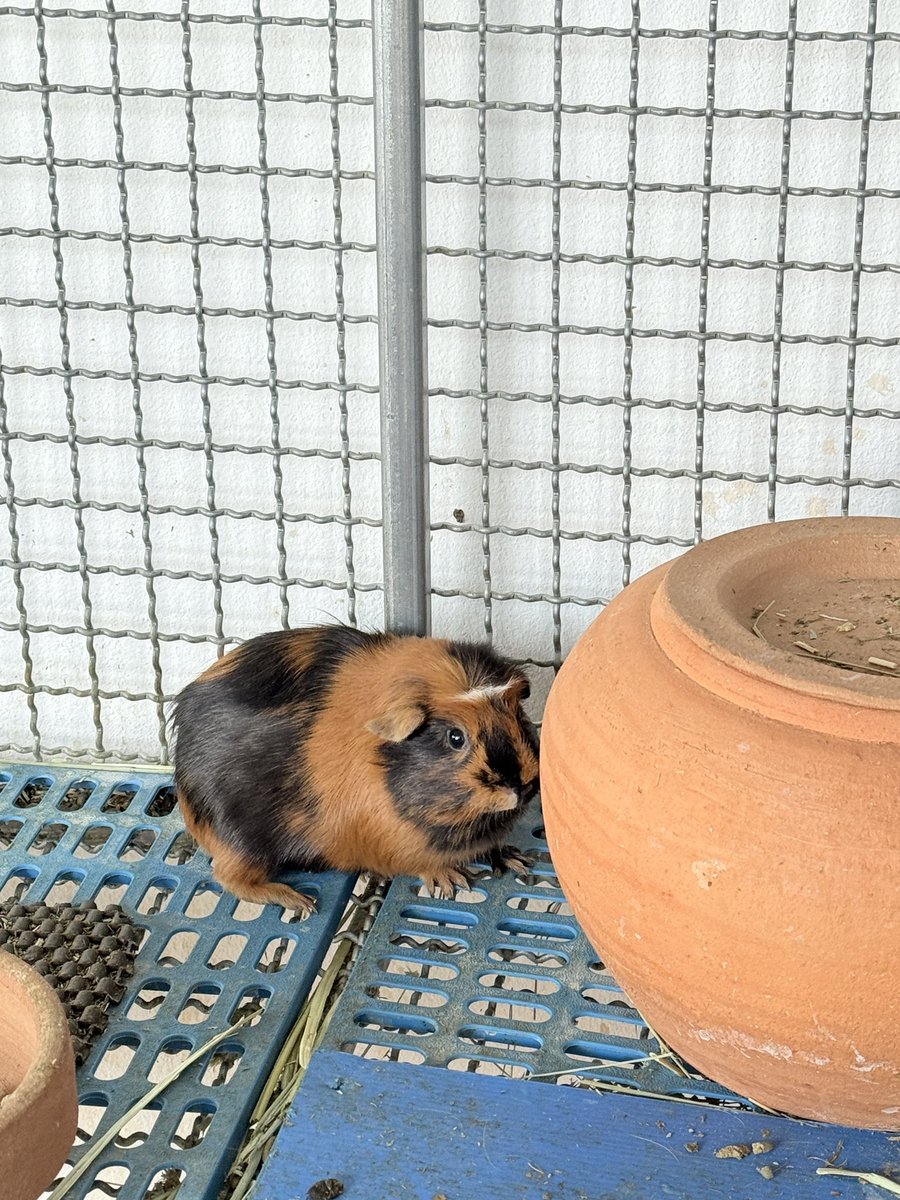 ทิศตะวัน Rest. tweet media