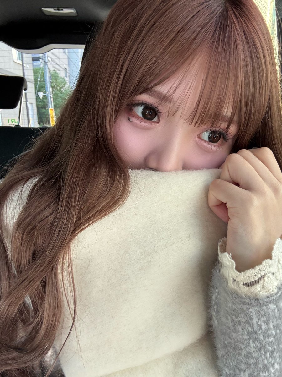 Refrear(リフレア)公式 tweet media