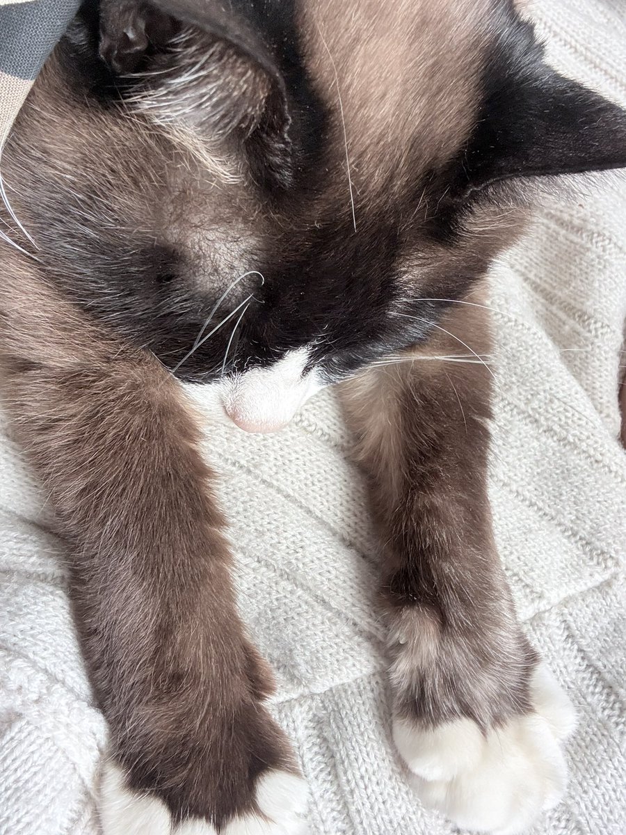 うさこ様 (@Usk0x0gg) / Posts / X