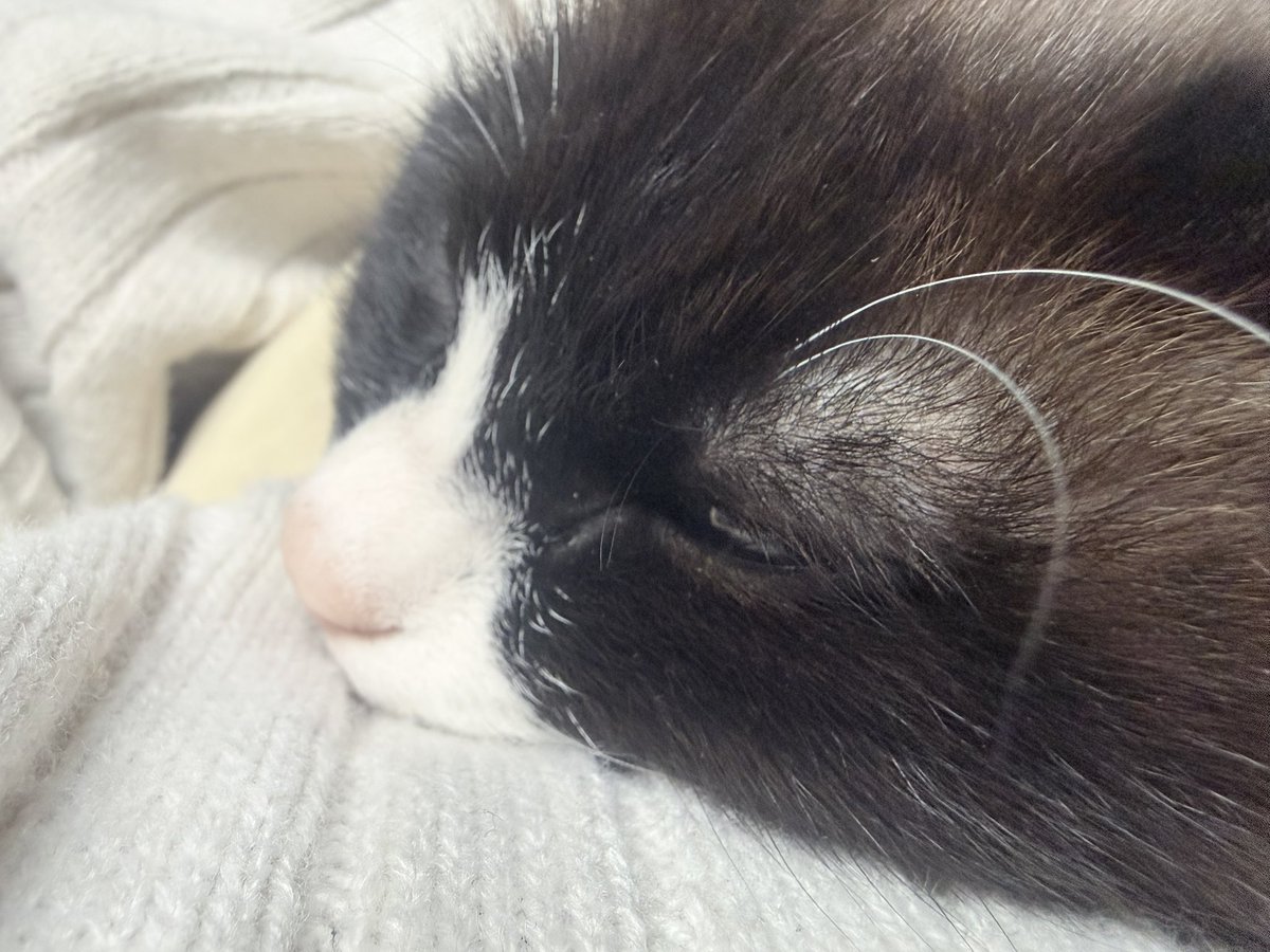 うさこ様 (@Usk0x0gg) / Posts / X