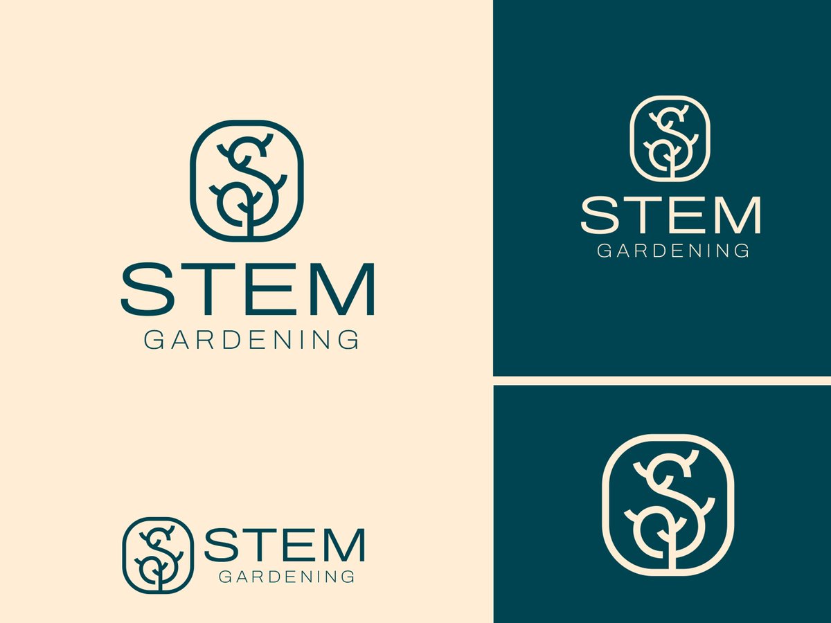 Alex Seciu tweet media