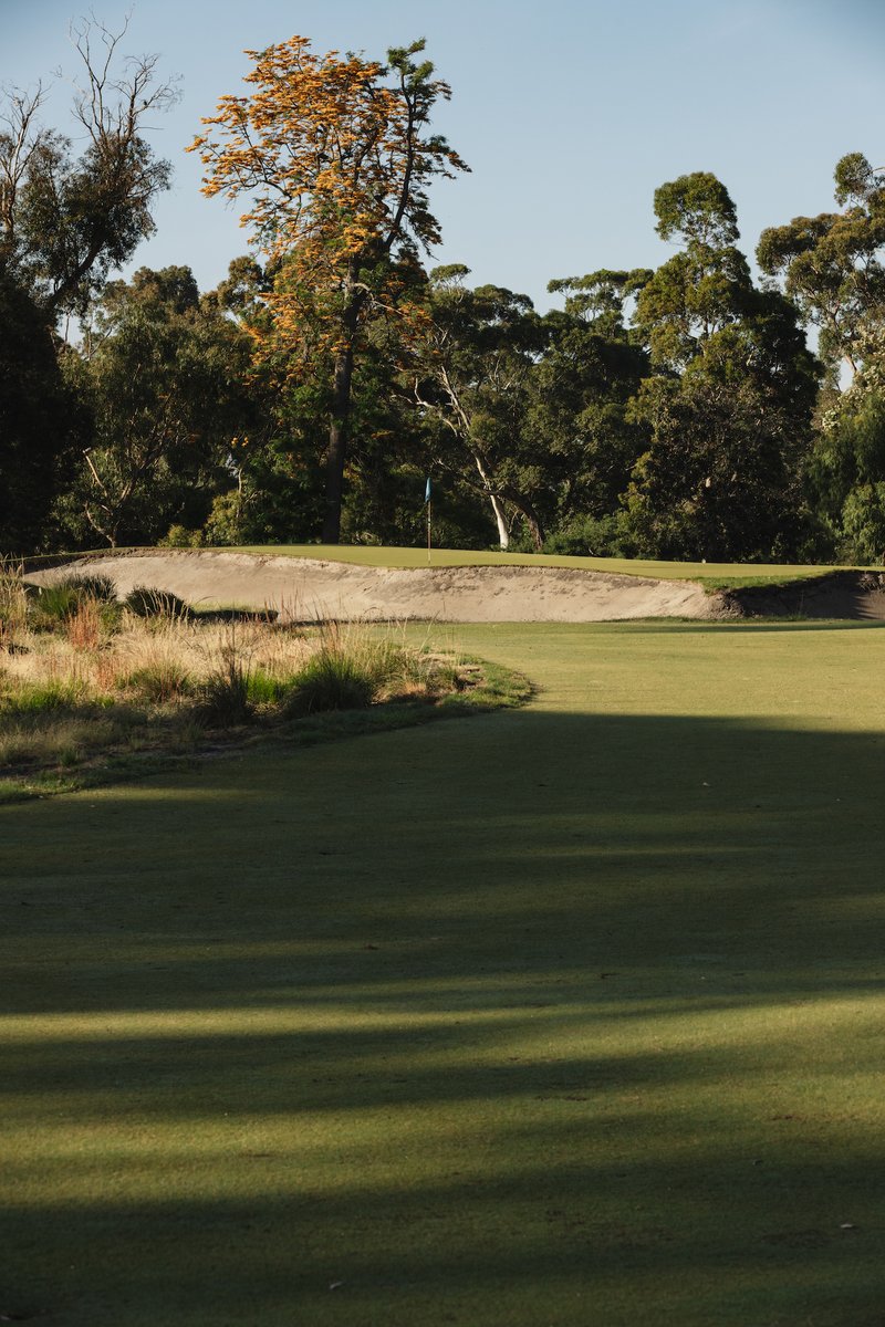 Commonwealth Golf Club tweet media