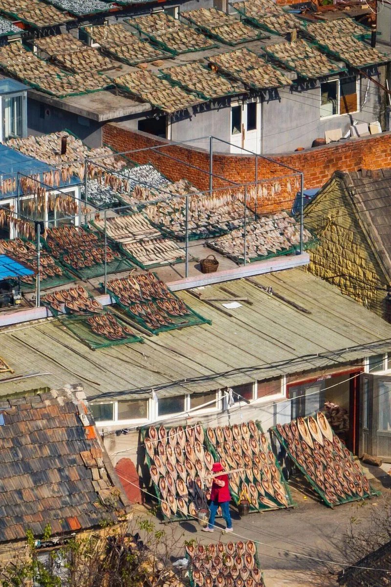 甜晒鱼是山东冬日里的风物诗，渔民们将鲅鱼、黄花鱼、鼓眼鱼等新鲜海鱼，用淡盐水浸腌半日，再在阳光下通风晾晒。