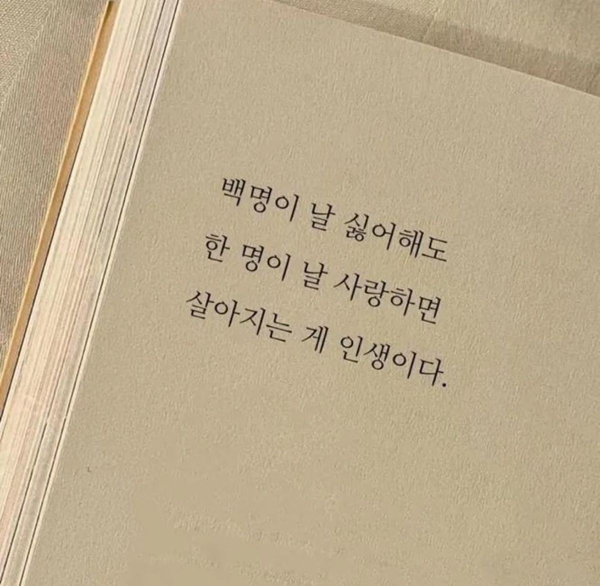 김딸기🍓 tweet media