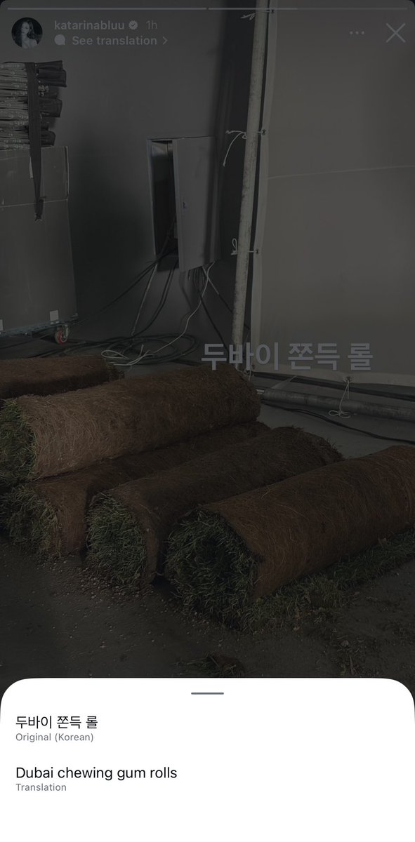 seireneity_'s tweet image. si karina 'yung jowa mong cinareer talaga mga gusto mo sa buhay para di ka magtampo

winter: "de wag na, wag na ayaw mo pala eh hindi pala masarap eh di wag na"
karina: "masarap joke lang babe masarap pala promise masarap, oo nga hindi ko lang na-gets nung una pero masarap pala"