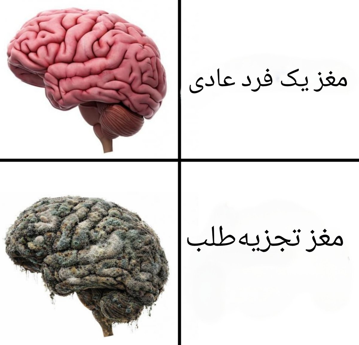 کمپین ضد پانترکیسم tweet media