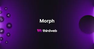 EironFycee's tweet image. ⭕️Breaking News⭕️
@MorphNetwork' partnership with @thirdweb 
ThirdWeb is known for providing plug-and-play Web3 infrastructure (smart contract templates, SDKs, APIs)

✅ Developers can launch payment-focused dApps faster.
#CryptitaXMorphNetwork #MorphNetwork #ThirdWeb #web3