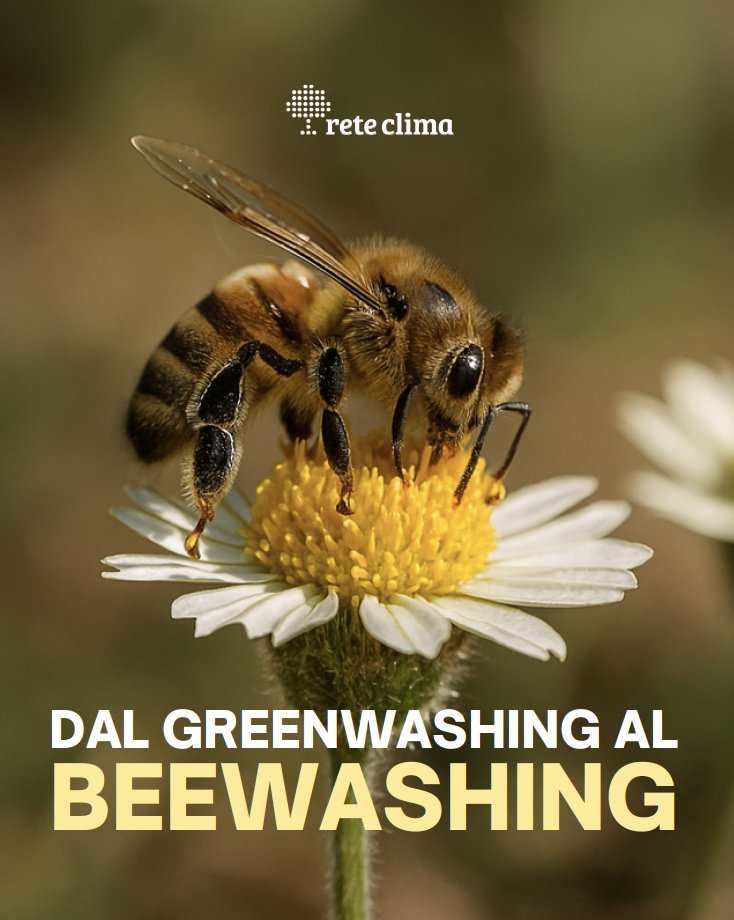 Rete Clima tweet media