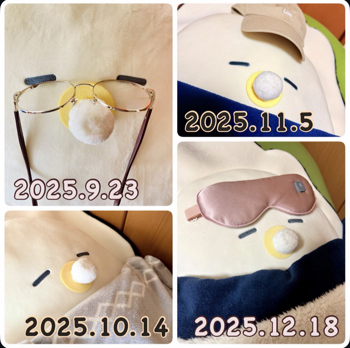 cyakotonix's tweet photo. 家に来てから、1年たった。
月一撮影
こいつ可愛い

今日は日光浴

#つぶらな瞳の仲間達 #つぶ活 #つぶらー 
#つぶらな瞳のなまがき https://t.co/cFBypfNxxh