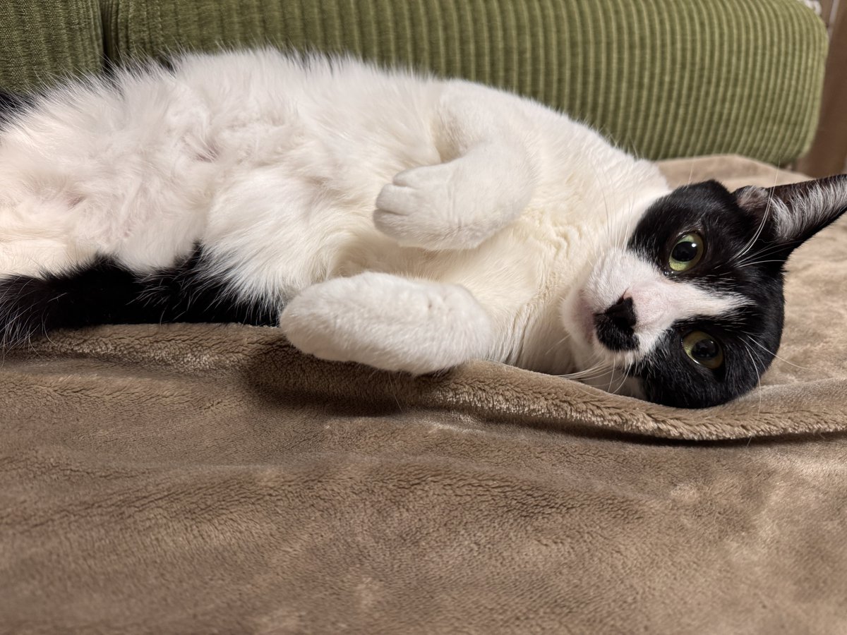 夜叉丸 - Yashamaru (@ch_tw) / Posts / X