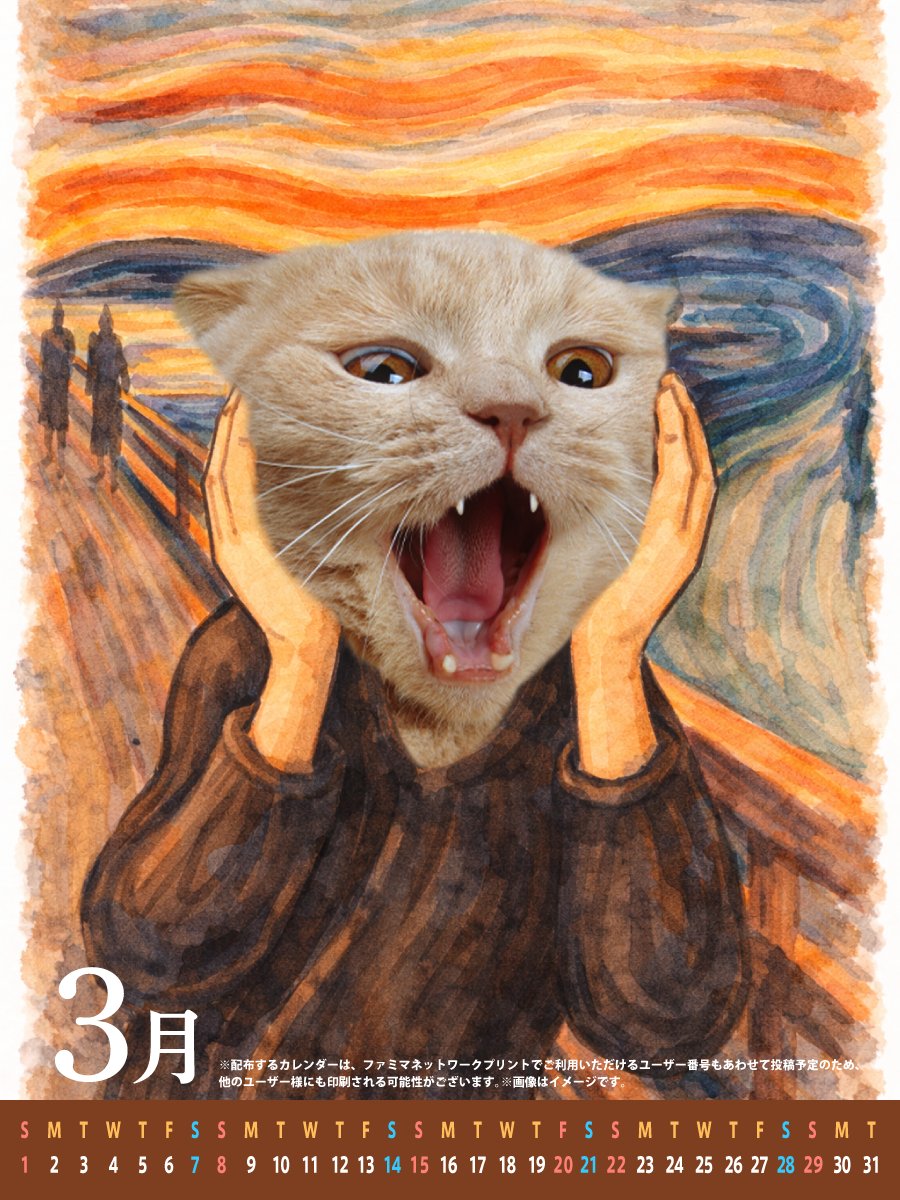 美香 🐈🐈‍⬛🐾🍒 (@mica773rk) / Posts / X