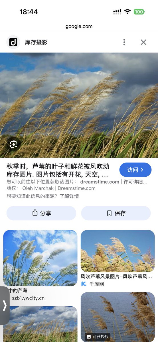 有一军人身带弓并不是“张”字，一人弓是“夷”字，代表外国外族。1、图上老者握拳谐音“权”2、繁体“權”右侧是“雚”代表芦苇丛，就是图上老者身后的芦苇 3、「殺不用刀」是殺字去掉代表刀叉的上半部分“✖️”和“几”留下就是简体的“权”字 所以未来的政变主角是名字带“权”得人，而非张。张类似李君羡因谶言被冤杀