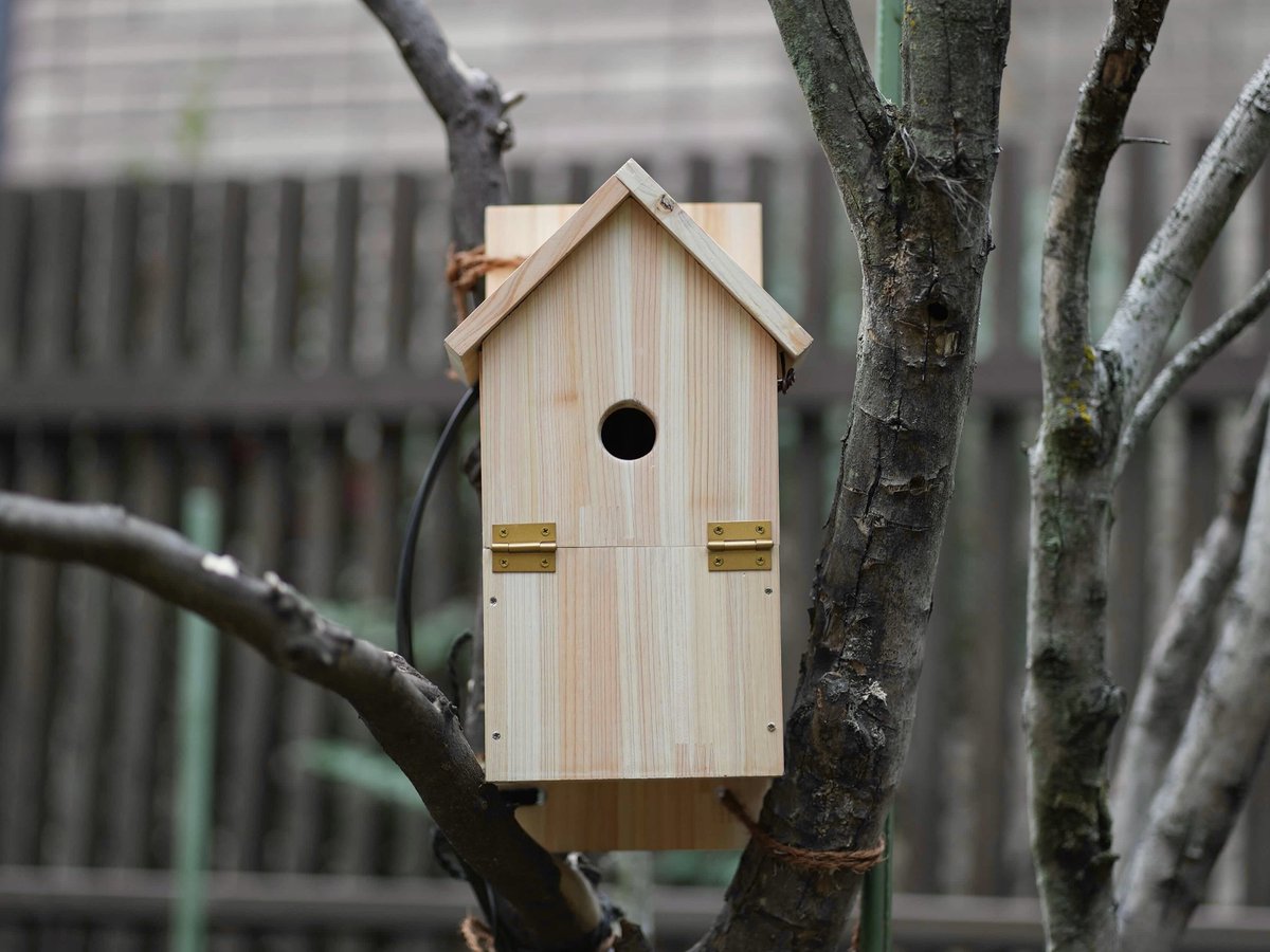 実家の庭に巣箱を新築🏠 入居者募集中‼️🐥