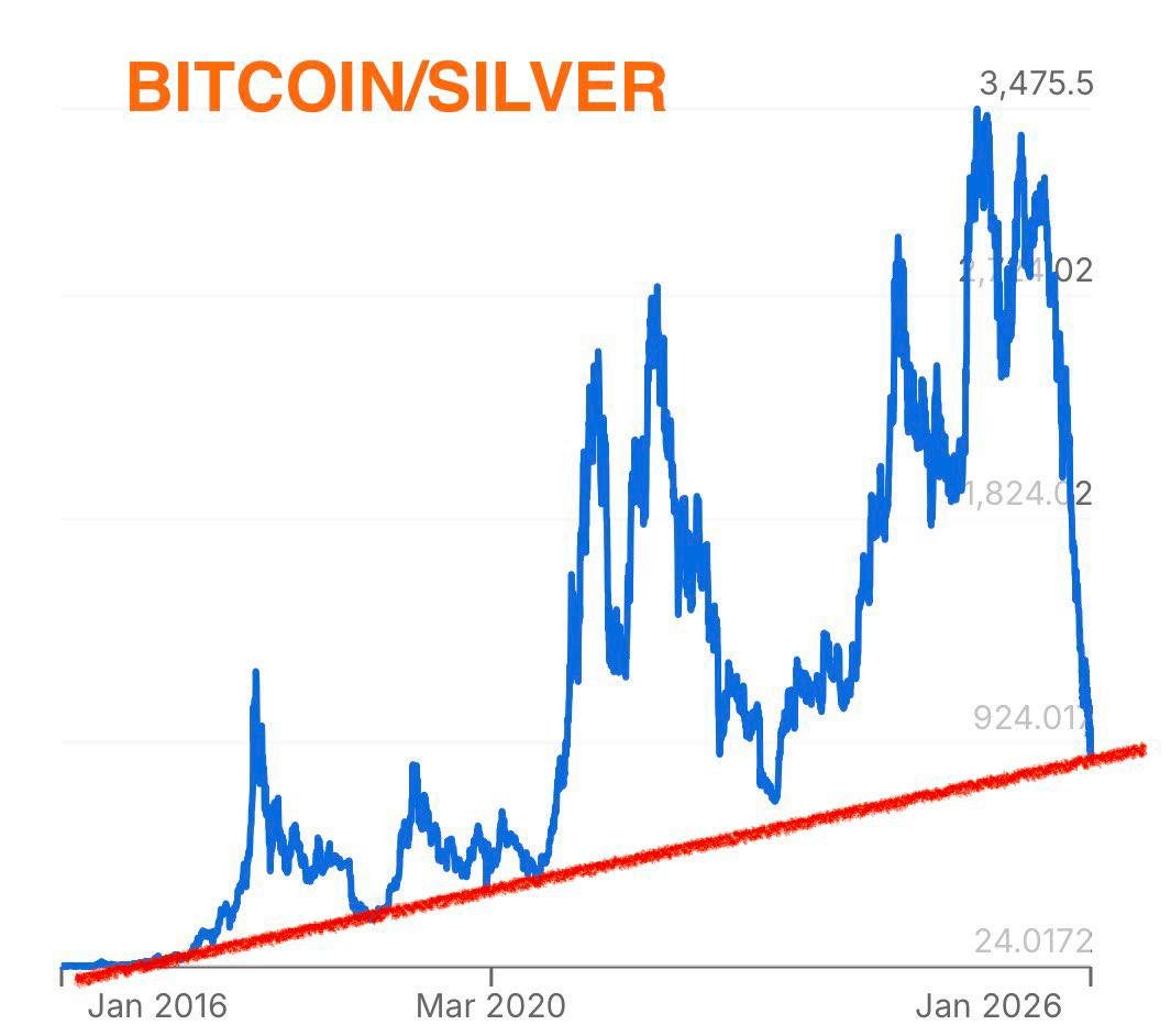 Kong Trading 🦍 tweet media