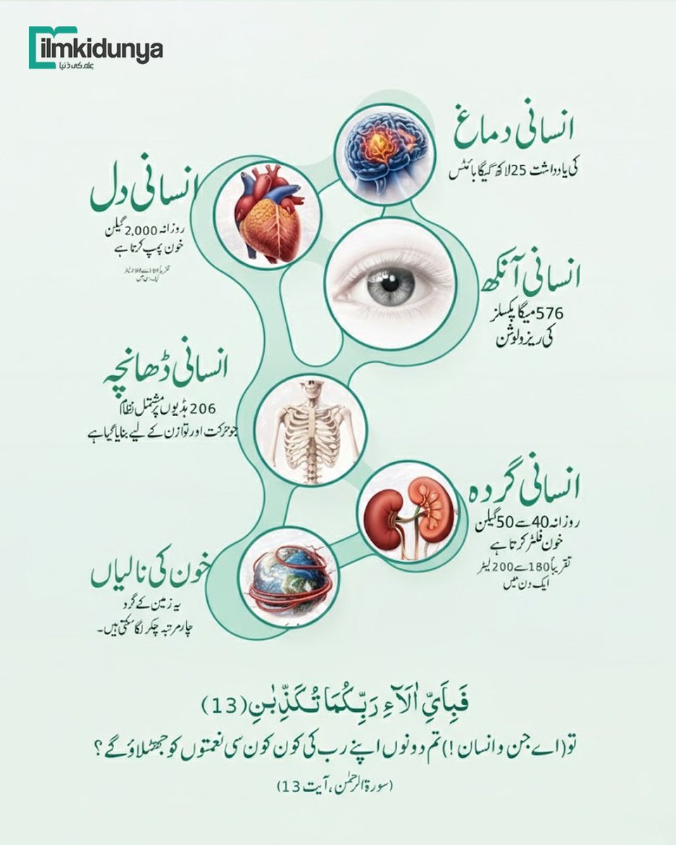 ilmkidunya's tweet image. کیا آپ انسانی جسم کے یہ فیچرز جانتے ہیں؟

#humanbody #Features #DidYouKnow